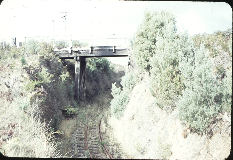 104537: Wimba up side Looking towards Beech Forest