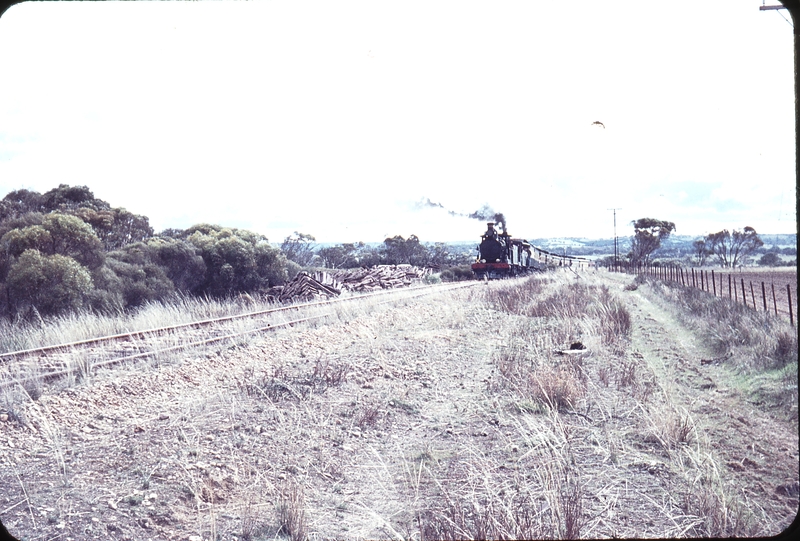 104661: Mile 57.5 Milang Line Down ARHS Special Rx 195 Rx 233