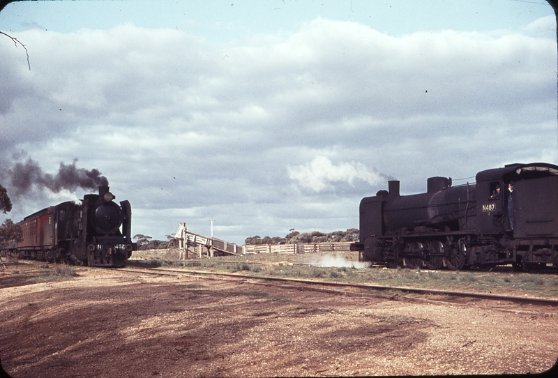 104919: Merrinee Down AREA Special N 462 and Up Weedex Train N 487