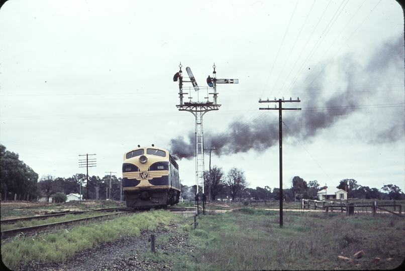 104943: Dunolly B 60