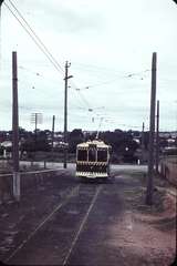 104972: North Bendigo terminus AREA Special No 11