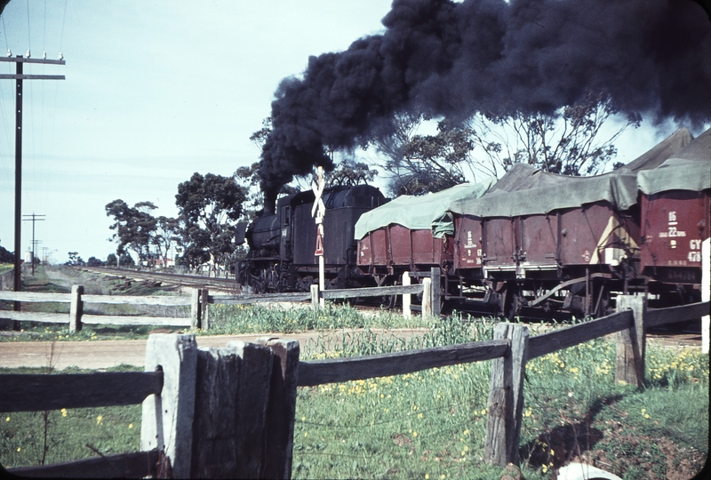 105051: Dimboola down side Mile 225.75 Up Goods from Yanac N 431