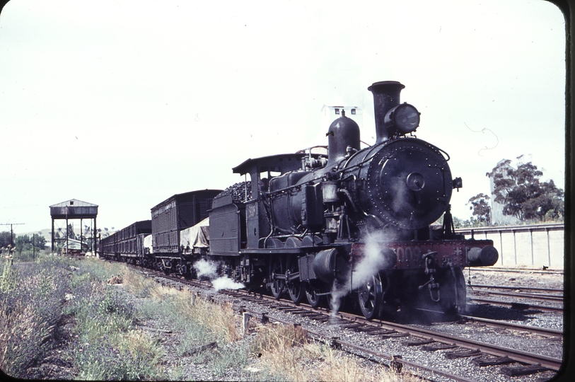 105143: Canowindra Down Mixed 3009T