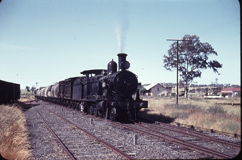 105150: Canowindra Up Mixed 3009T