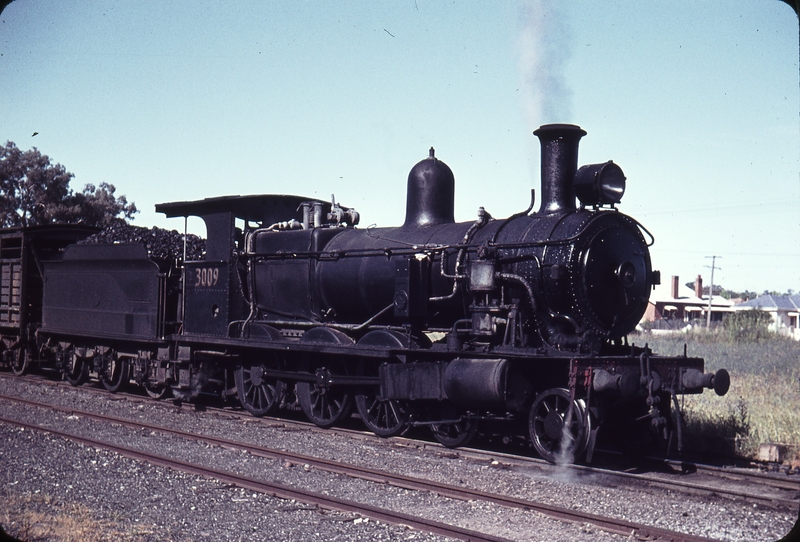 105151: Canowindra Up Mixed 3009T