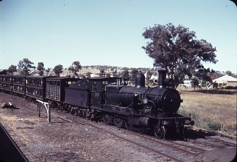 105152: Canowindra Up Mixed 3009T