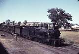 105152: Canowindra Up Mixed 3009T