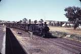 105153: Canowindra Up Mixed 3009T