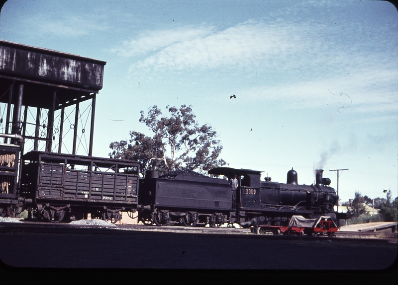 105155: Canowindra Up Mixed 3009T