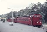 105239: Upwey Down Hallade Train 14 CM 5 G nearest