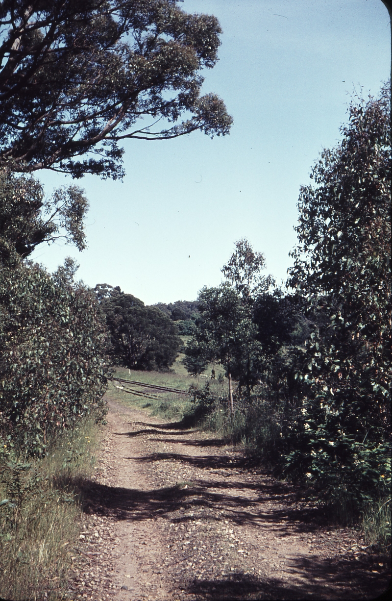 105240: Clematis viewed from access road