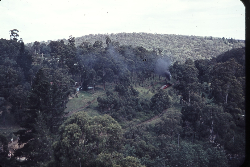 105263: Monbulk Creek Trestle down side 2:40pm Down Passenger 6A