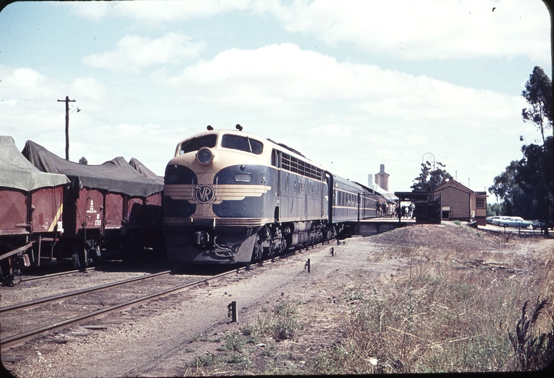 105333: Ouyen Up Mildura Sunlight B 64