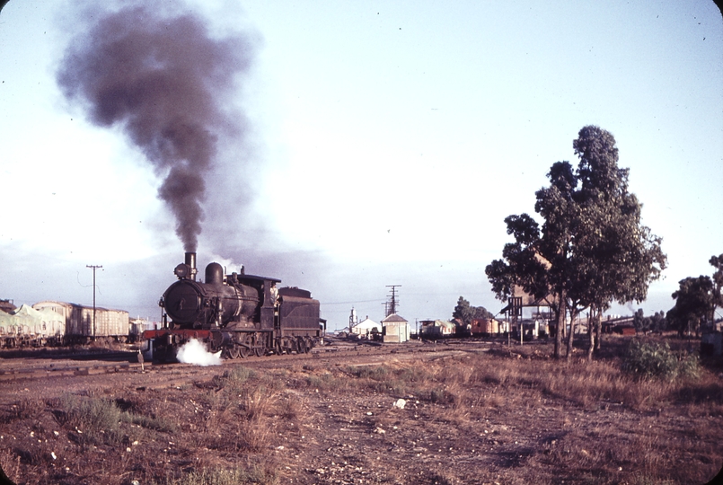 105575: Tailem Bend Shunter Rx 20