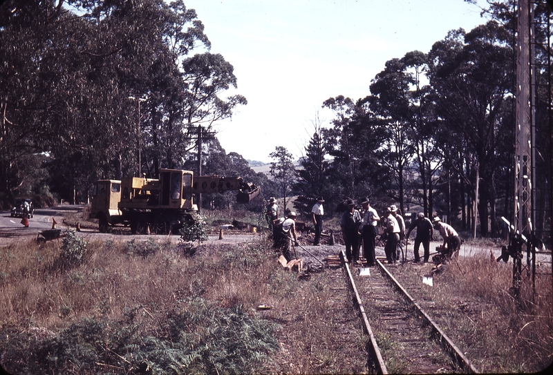 105865: Emerald VR Gang relaying Main Road Level Crossing