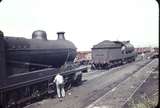 105962: Hexham No 17 and Shunter No19