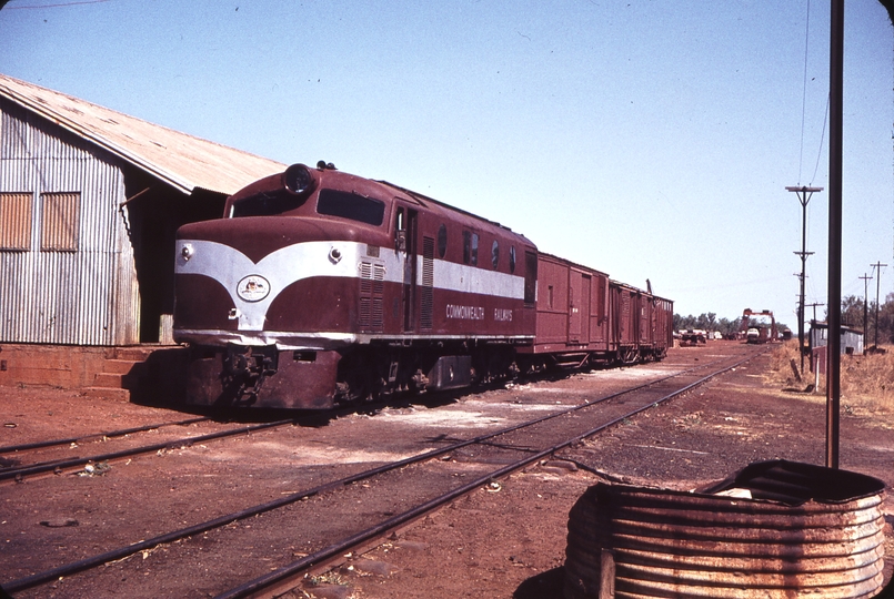 106136: Larrimah NSU 64 shunting vans at goods shed