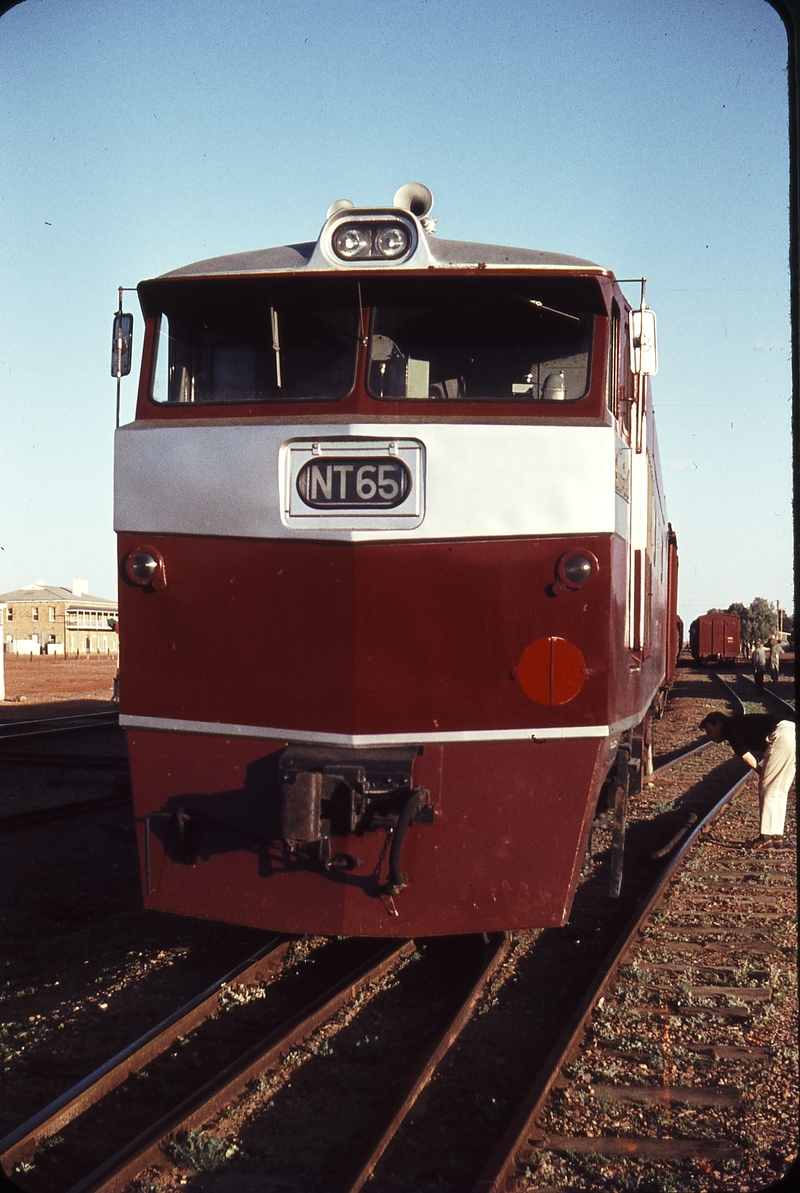 106209: Marree Up Ghan ng NT 65