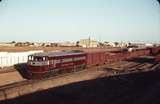 106211: Marree Up Ghan ng NT 65 and Up Ghan sg GM 8