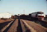 106212: Marree Up Ghan GM 8 and Up Ghan ng NT 65