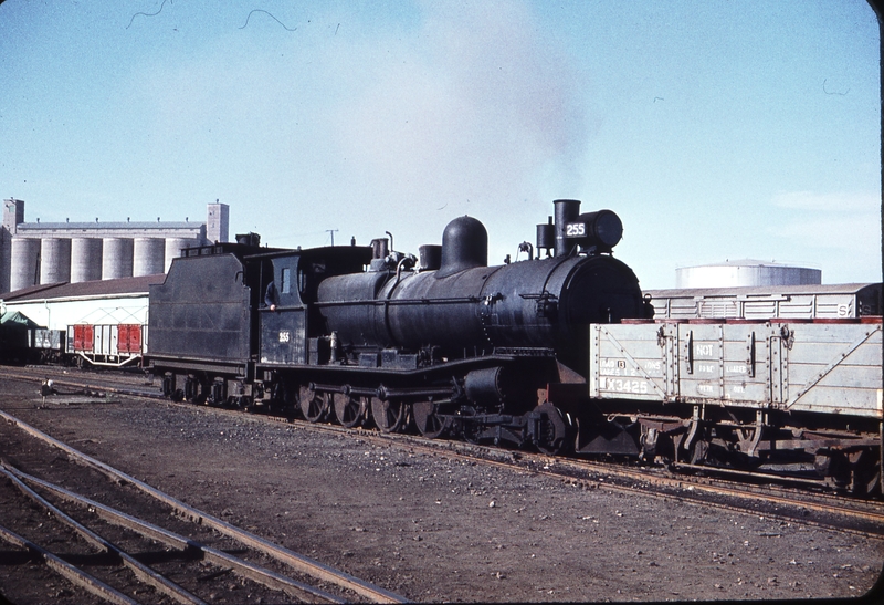 106336: Port Pirie Junction Yard NG Shunter T 255