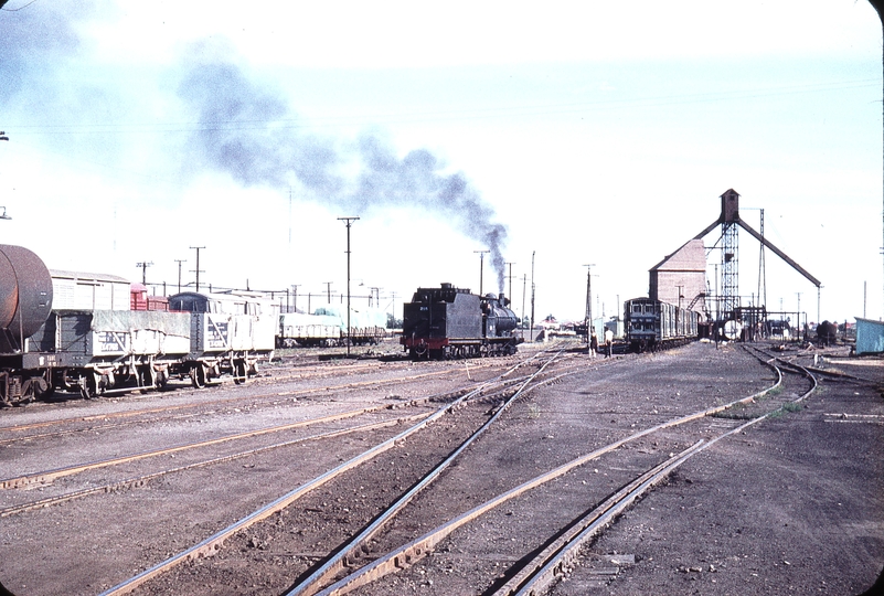 106341: Port Pirie Junction Yard NG Shunter T 255