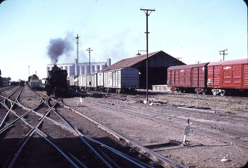 106343: Port Pirie Junction Yard NG Shunter T 255