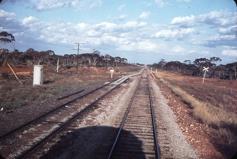 106364: Zanthus Looking East