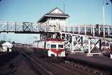 106477: East Perth Up Light Engine Wildflower Power - Baggage Car ADF 494