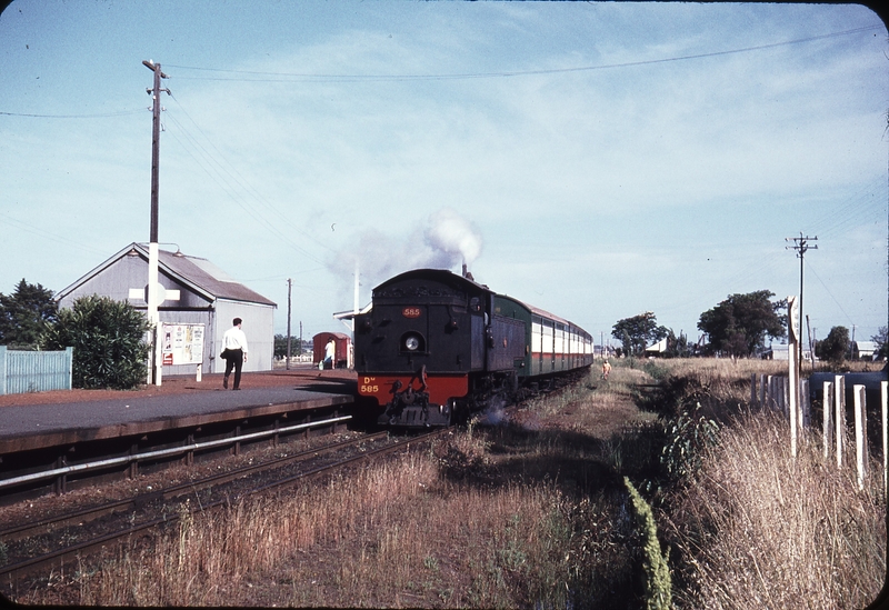 106542: Cannington Down Suburban Dm 585