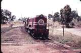 106550: Swan View Up Goods G 51