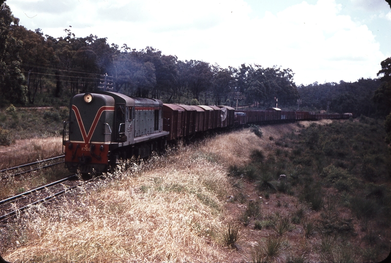 106576: Hovea Down Goods C 1702