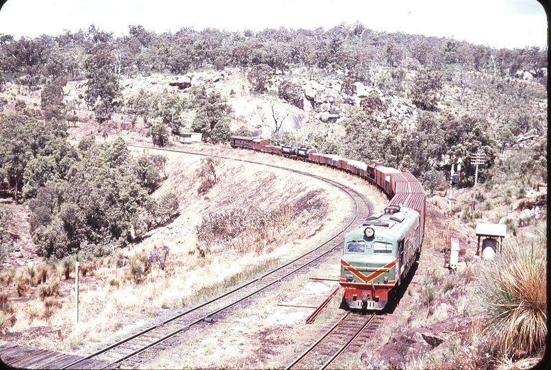 106626: Swan View Down Side Up Goods X 1012