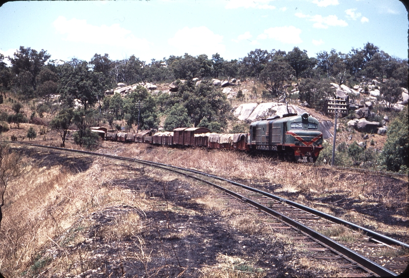 106677: Swan View down side Up Goods X 1011