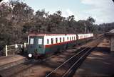 106685: National Park Down ARHS Special Wildflower Railcar