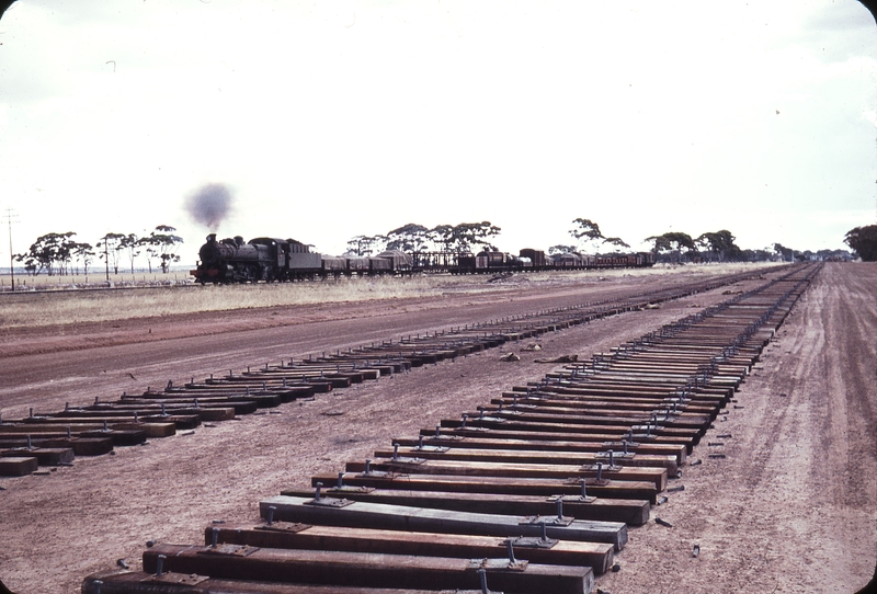 106819: Doodlakine down side Down Goods Pm 706