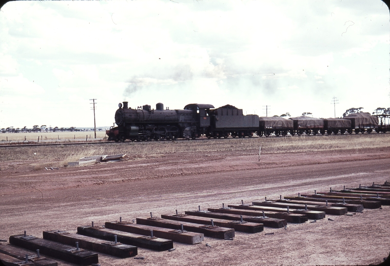 106820: Doodlakine down side Down Goods Pm 706