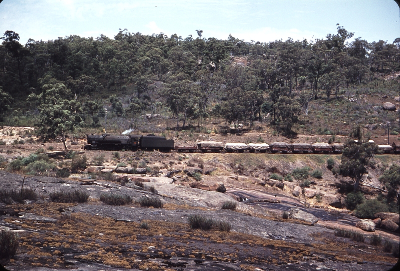 106920: Old ER Mile 16.75 Hovea Falls Down Goods V 1223