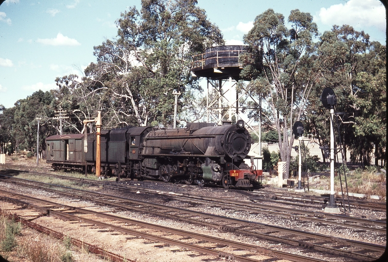 107042: Koojedda Up Light Engine and Van V 1222