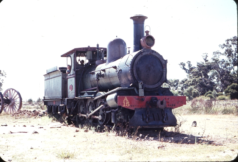 107154: Mile 113 South Bunbury A 15 in park