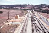 107187: West Toodyay Looking West Down WAGR Special Wildflower Railcar