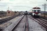 107204: Millenden Junction Up WAGR Special Wildflower Railcar ADF 492 leading