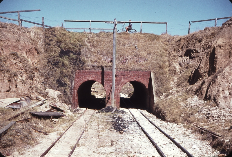 107230: Maylands Brickworks Looking towards Pits