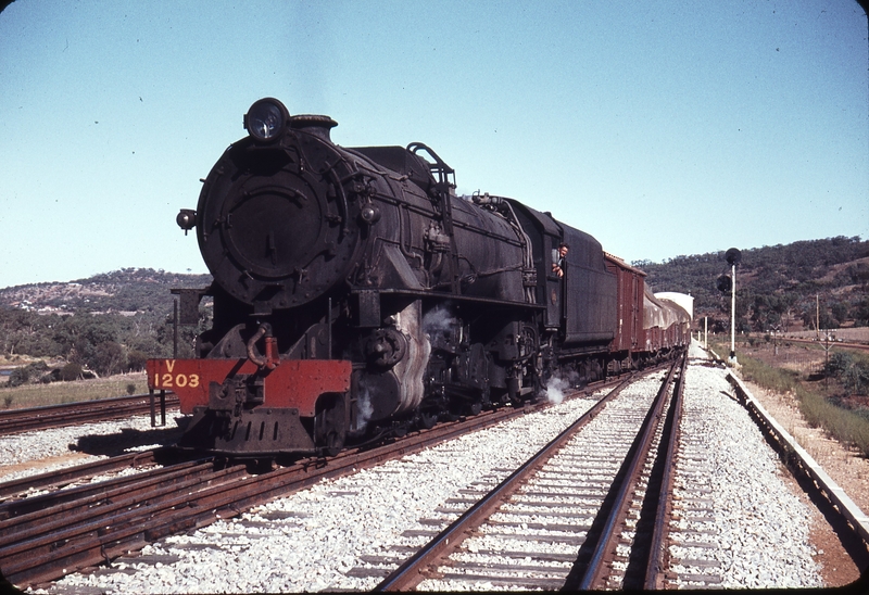 107307: West Toodyay Up Goods V 1203