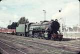 107378: Collie Up Goods V 1215