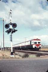 107488: Oakover Road Down Subiaco Football Club Special Wildflower Railcar ADF 493 leading