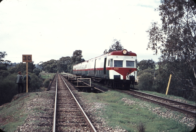 107490: Avon River Bridge Spencers Brook Down Subiaco Football Club Special Wildflower Railcar ADF 493 leading
