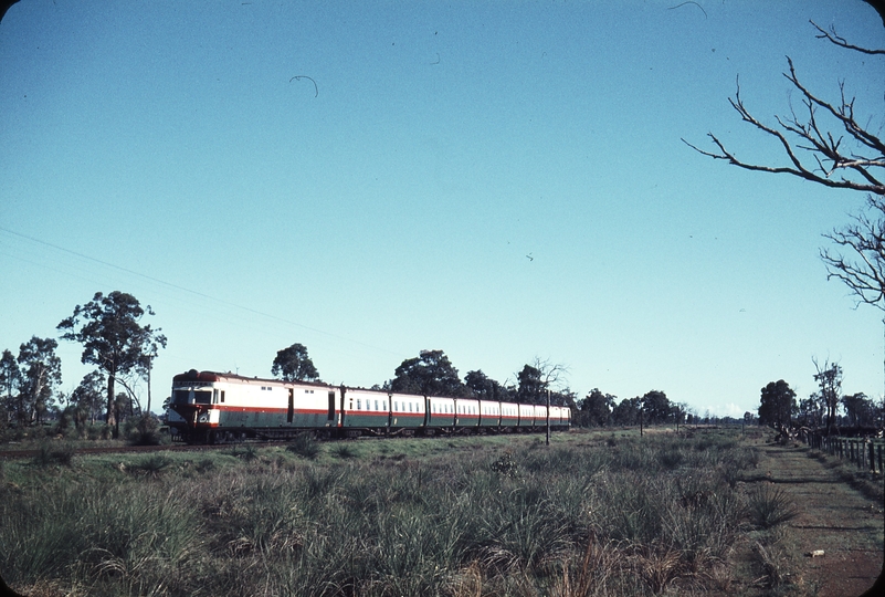 107748: Mile 65 SWR Up Bunbury Shopper Wildflower Railcars