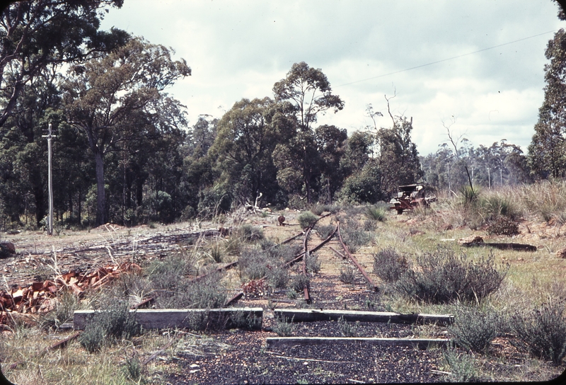 107793: Jarrahdale down side