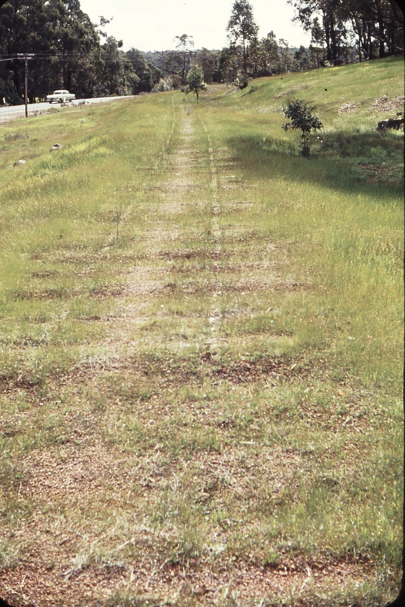 107801: Jarrahdale 0.5 Mile up side Looking West